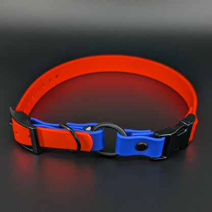 orange and royal blue biothane e-collar strap with bungee and quick release buckle