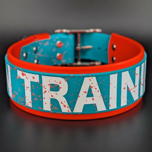 orange and teal in training splatter paint dog collar