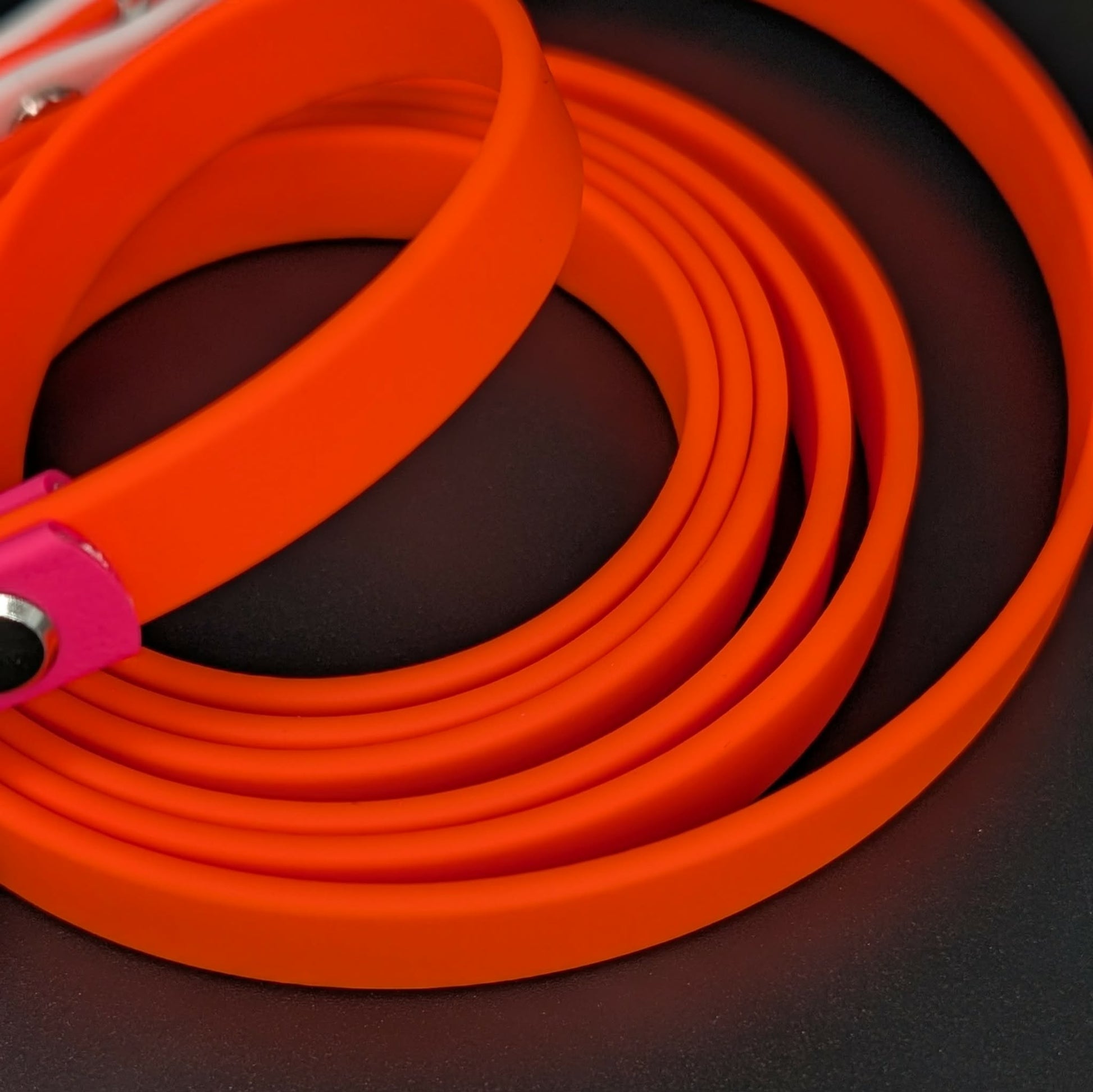 orange biothane dog leash