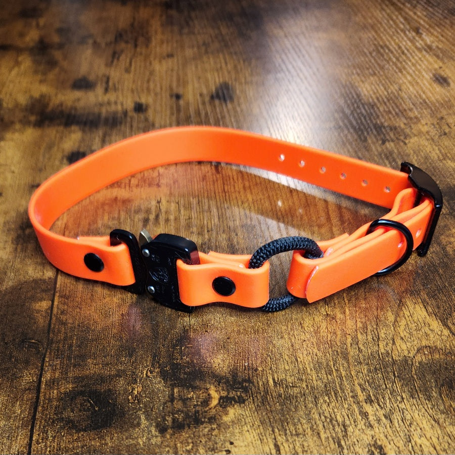 orange biothane e-collar strap with bungee and quick release cobra buckle