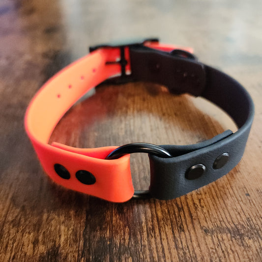 orange and black biothane dog collar