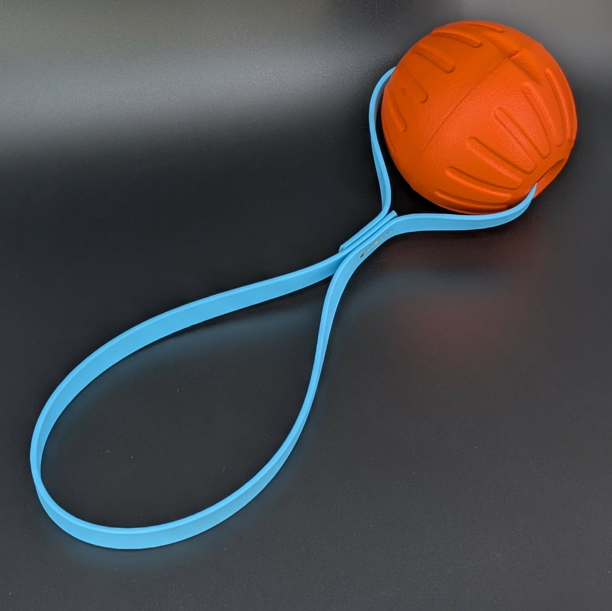 orange eva foam reward ball tug with light blue biothane loop handle