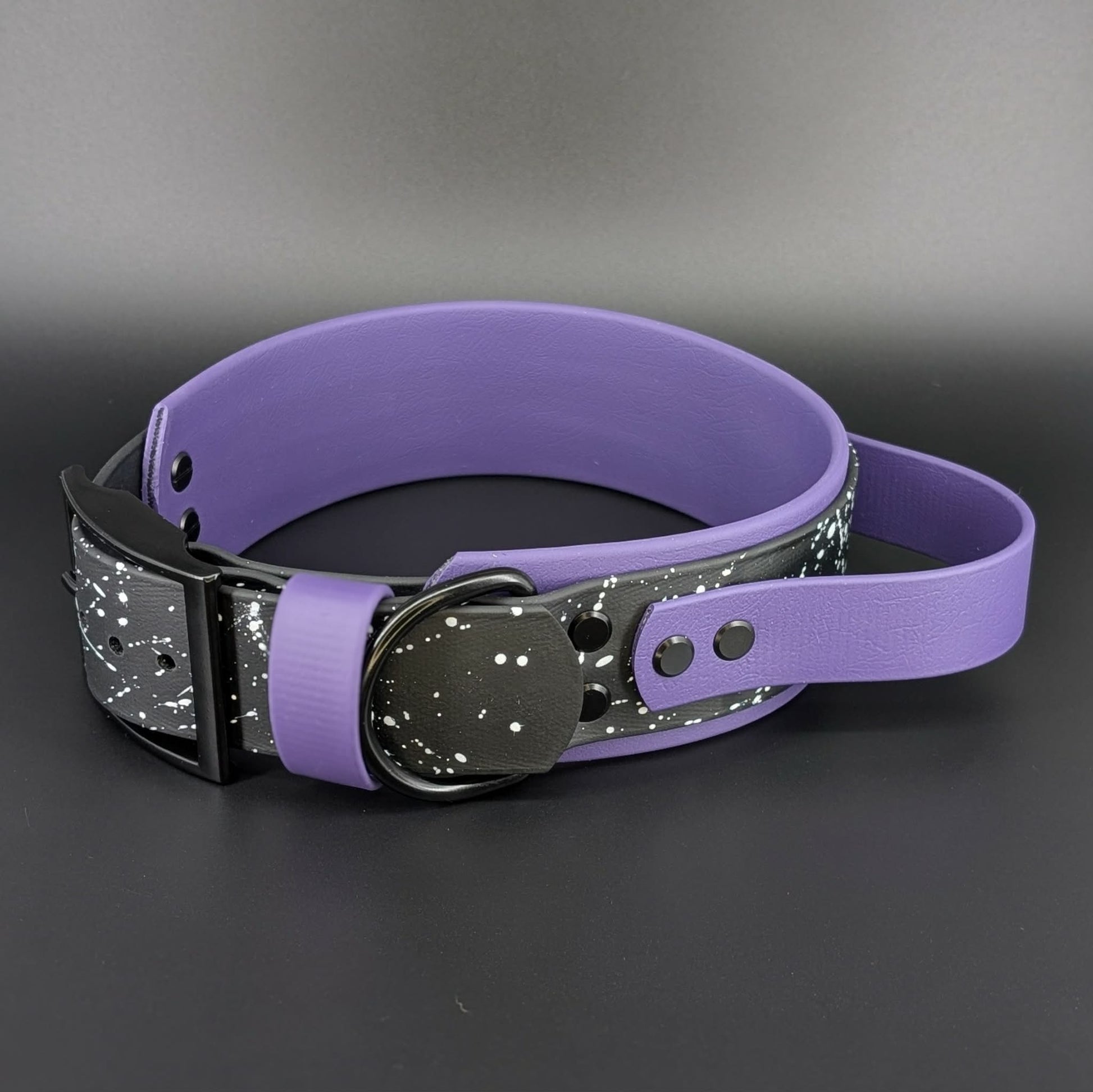 outer space theme biothane service dog collar