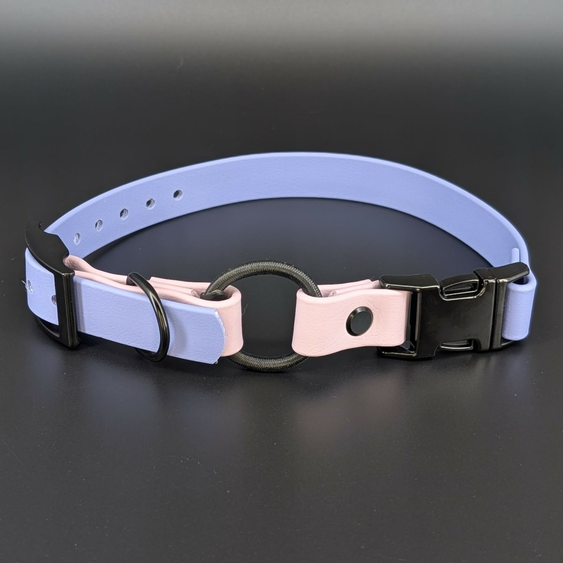 periwinkle blue and lavender biothane e-collar strap with bungee and quick release buckle