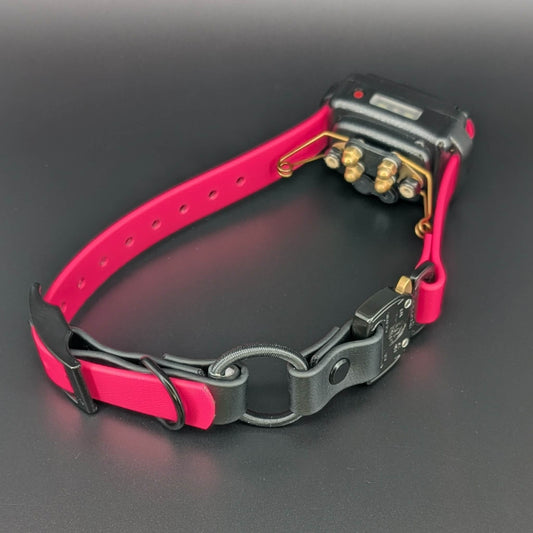 pink and black biothane e-collar strap with bungee and quick release cobra buckle on mini educator collar receiver