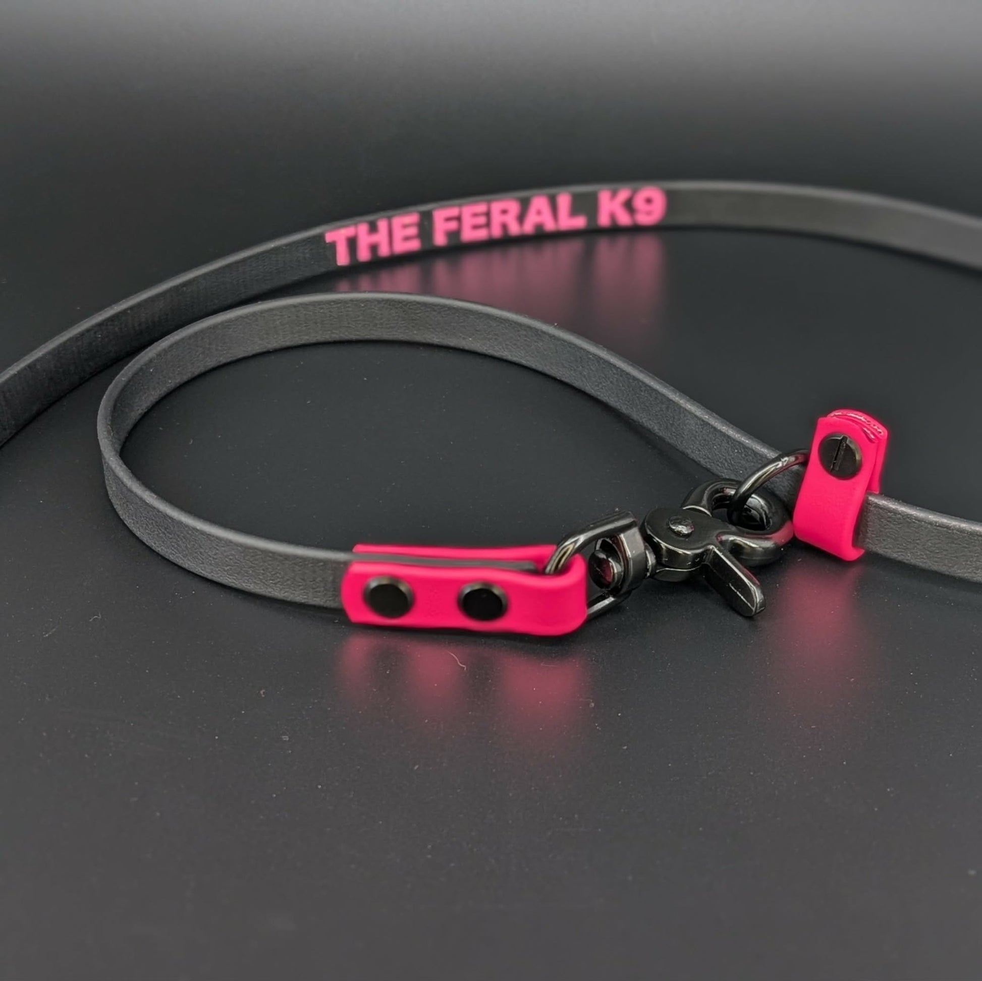 pink and black biothane slip lead with quick release clip