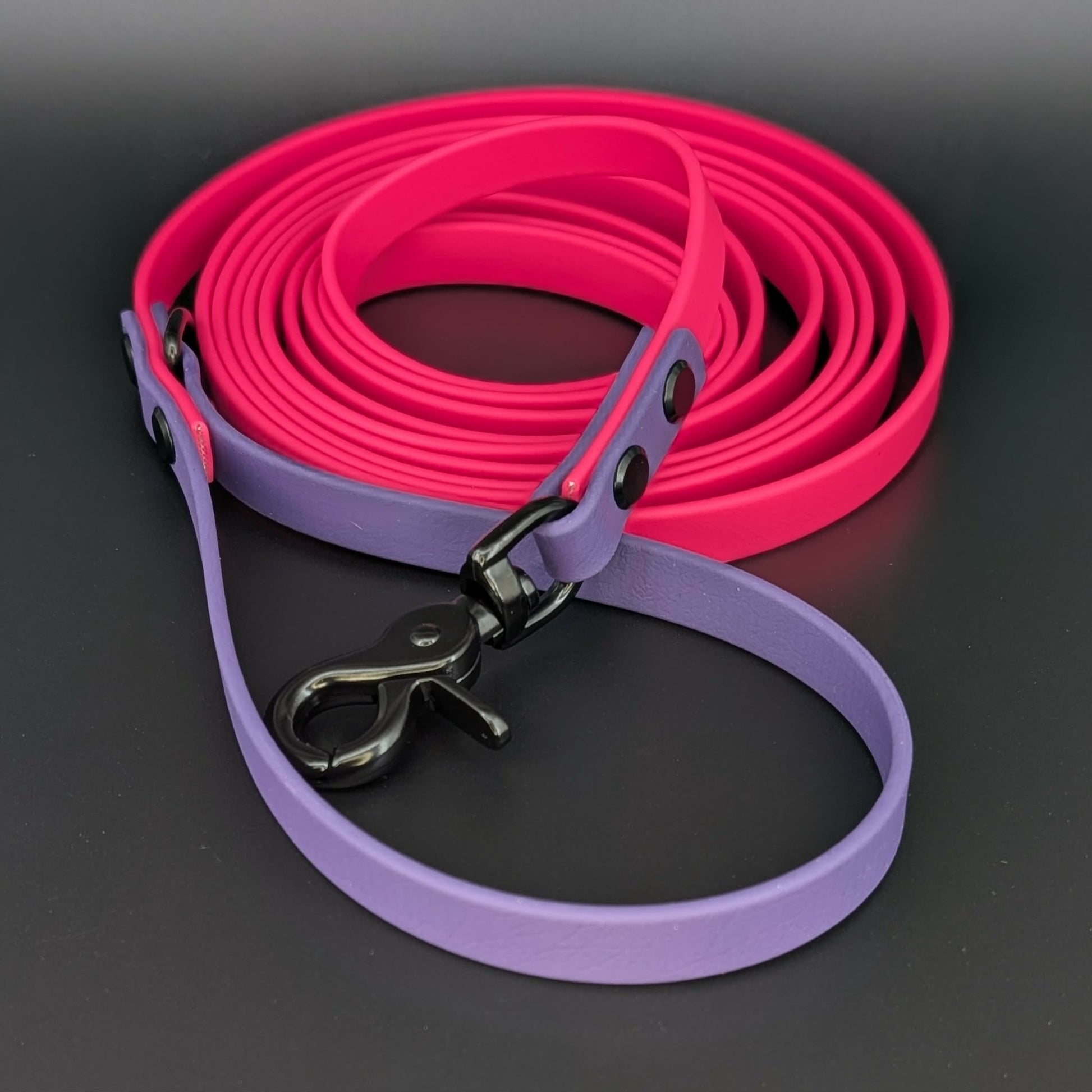 pink and dark purple biothane dog leash