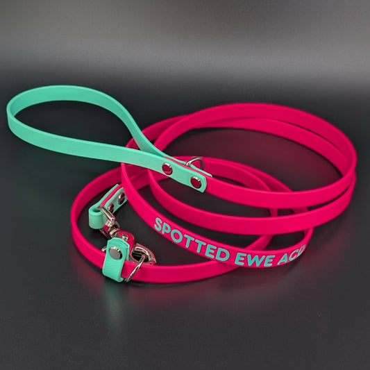 pink and mint green biothane slip lead with convertible quick release clip and custom text