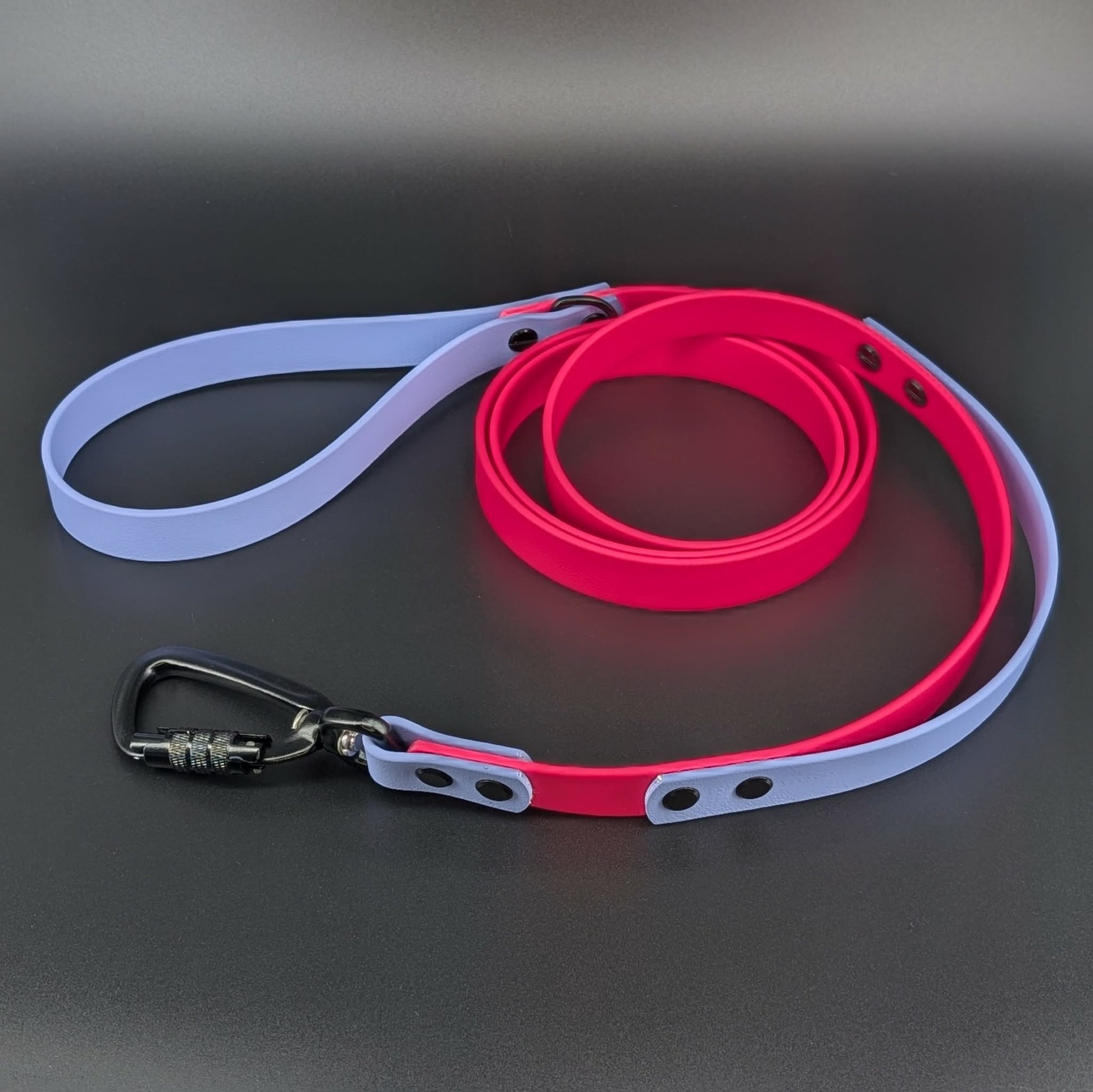 pink and periwinkle blue biothane dog leash with traffic handle and carabiner clip