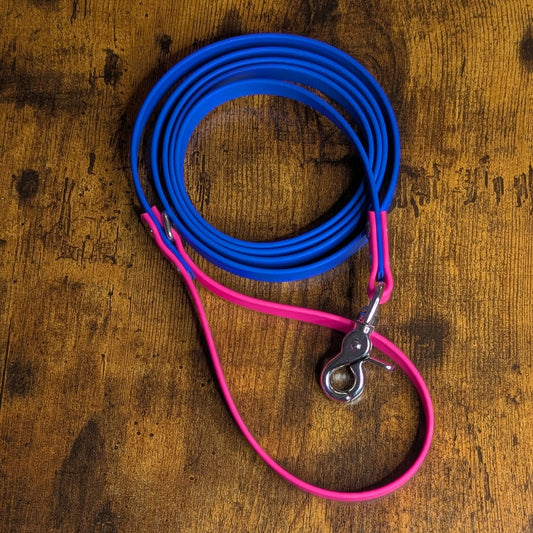 pink and royal blue biothane leash for dogs