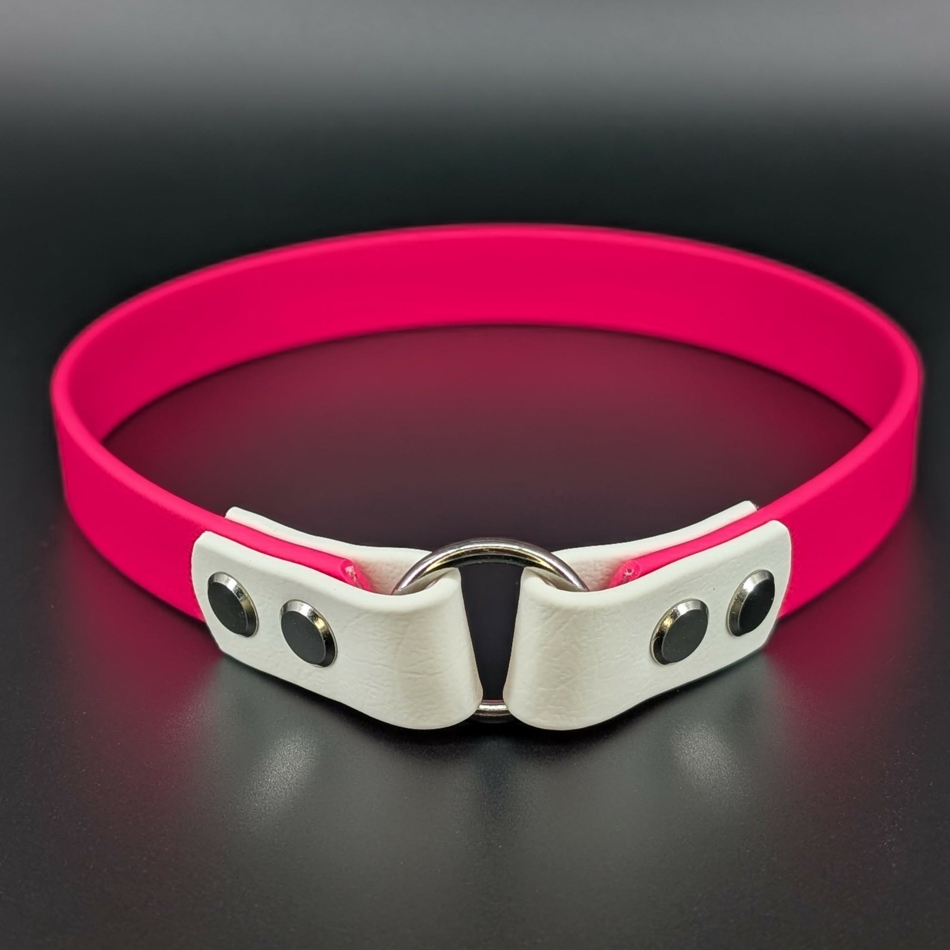 pink and white biothane tag collar for dog identification
