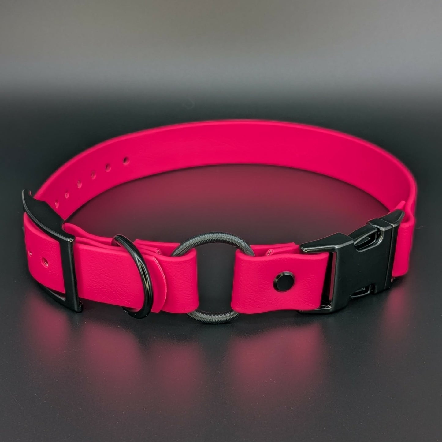 pink biothane e-collar strap with bungee and quick release buckle