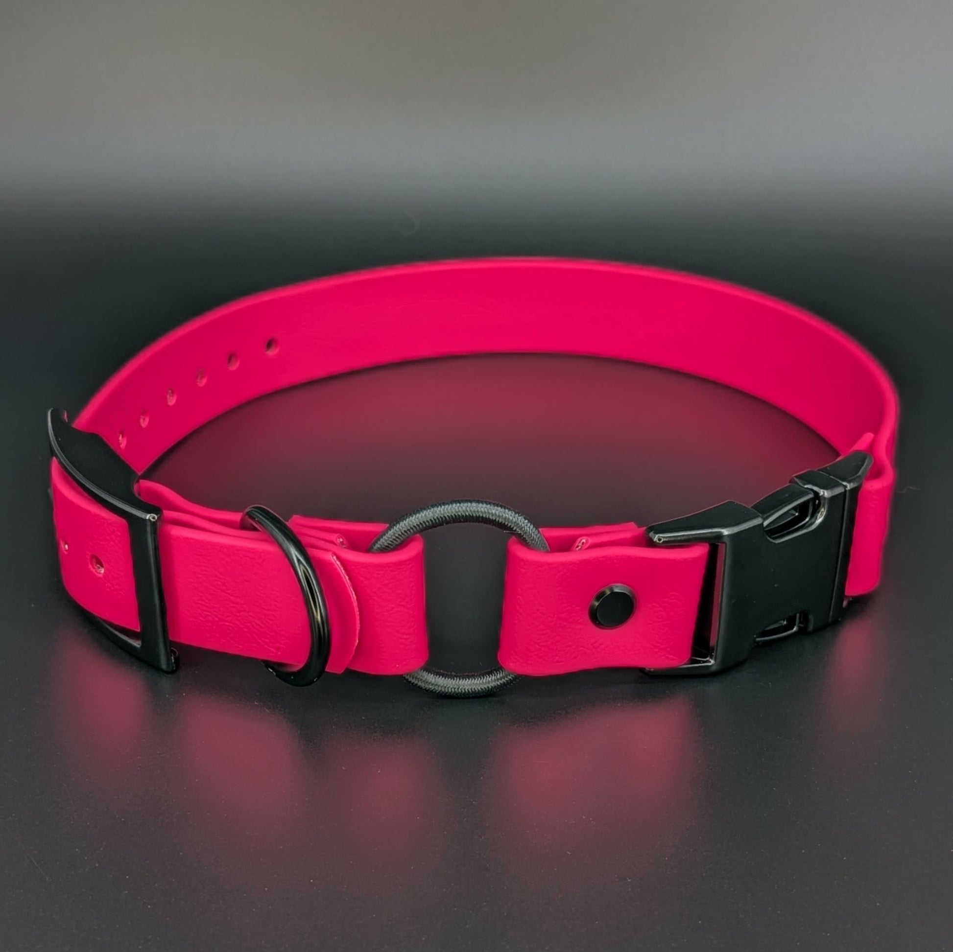 pink biothane e-collar strap with bungee and quick release buckle