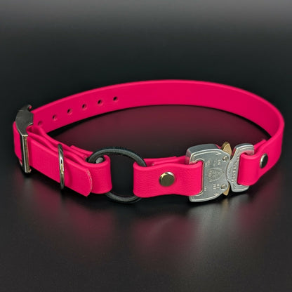 pink biothane e-collar strap with bungee and quick release cobra buckle
