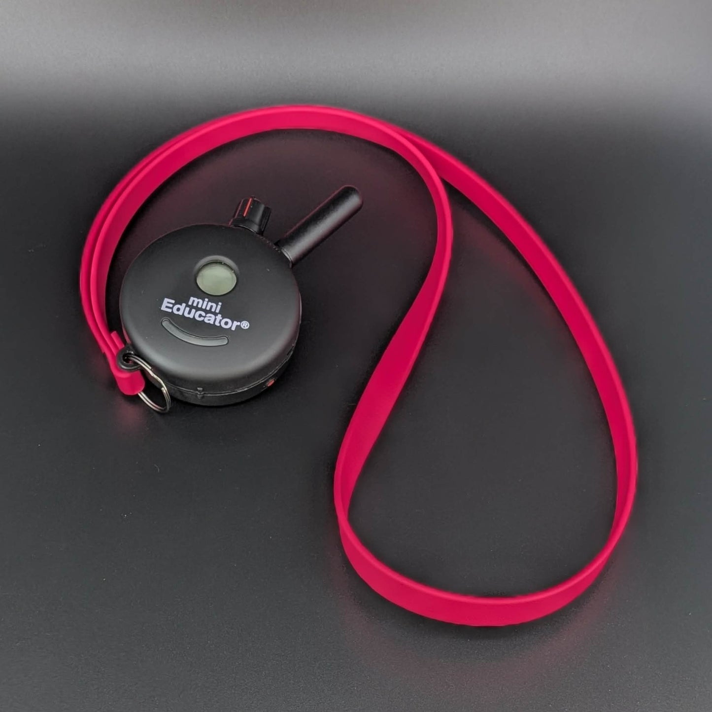 pink biothane lanyard on mini educator e-collar transmitter remote