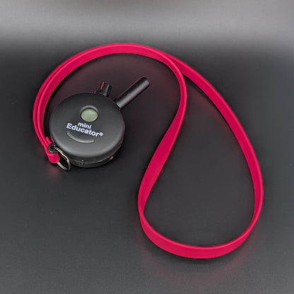 pink biothane lanyard on mini educator e-collar transmitter remote