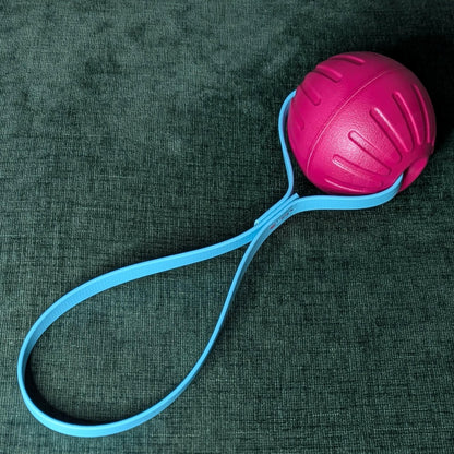 pink reward ball tug with loop handle