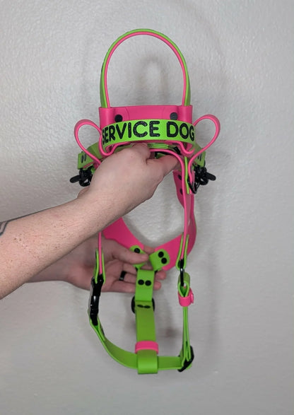 pink and green biothane mobility harness for service dogs doing momentum pulling and counterbalance tasks