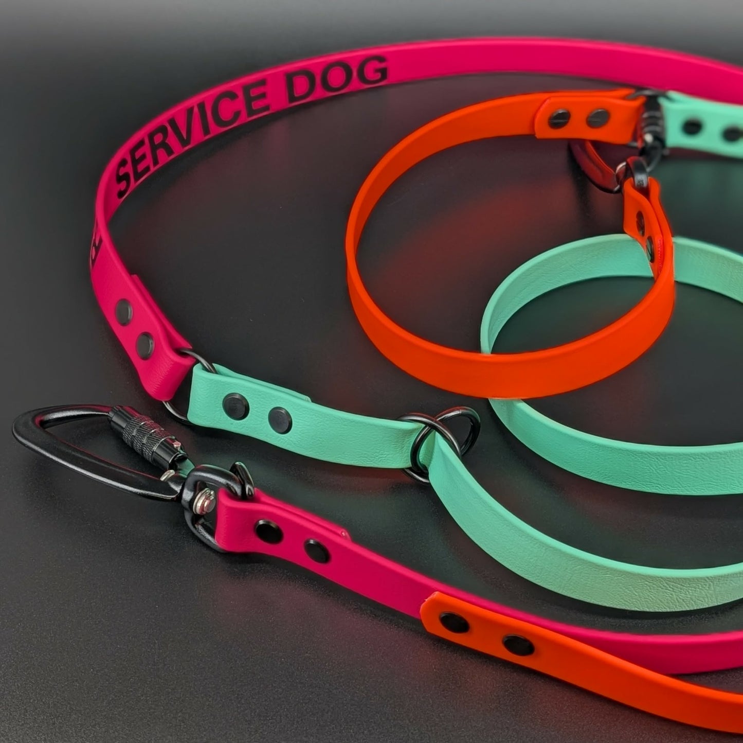 pink orange and mint green biothane hands free convertible dog leash with carabiner clips and custom text