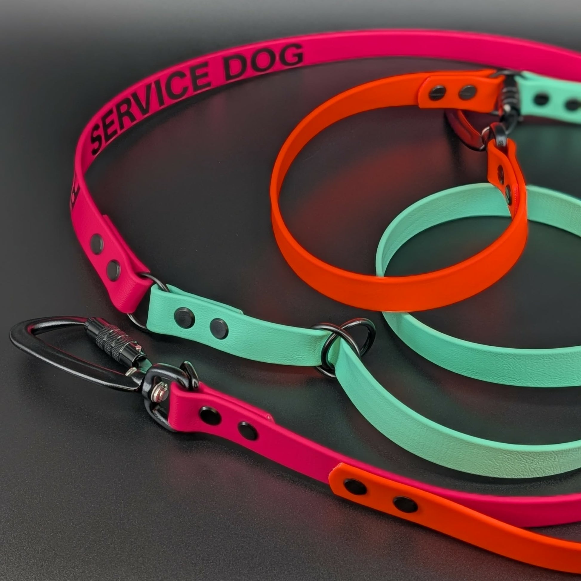 pink orange and mint green biothane hands free convertible dog leash with carabiner clips and custom text