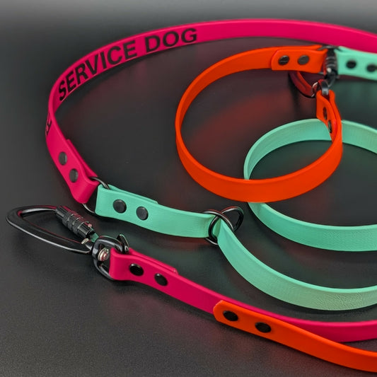pink orange and mint green biothane hands free convertible dog leash with carabiner clips and custom text