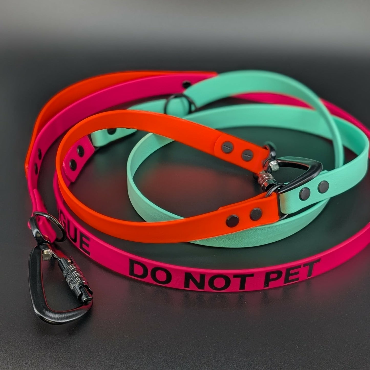 pink orange and mint green biothane hands free convertible dog leash with carabiner clips and do not pet text