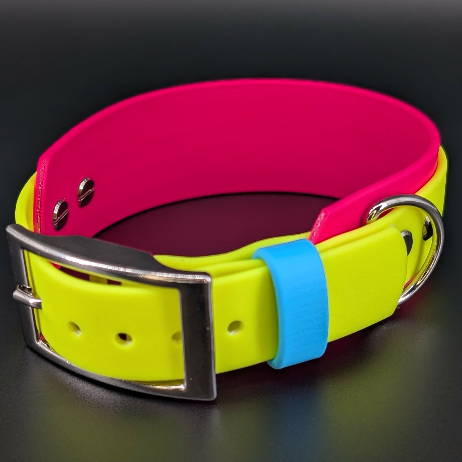pink yellow and blue biothane pan pride dog collar