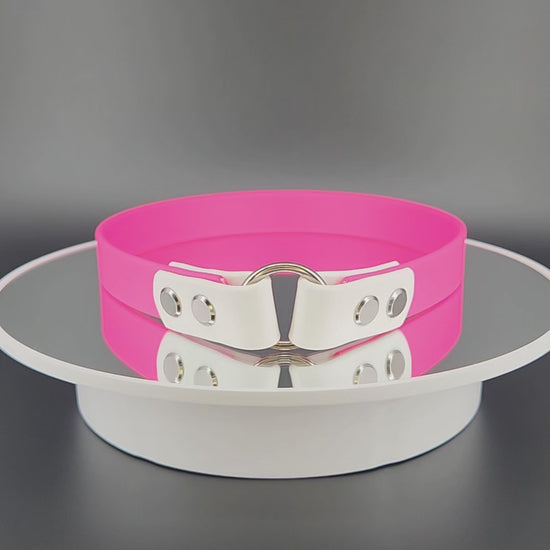 pink and white biothane tag collar for dog identification