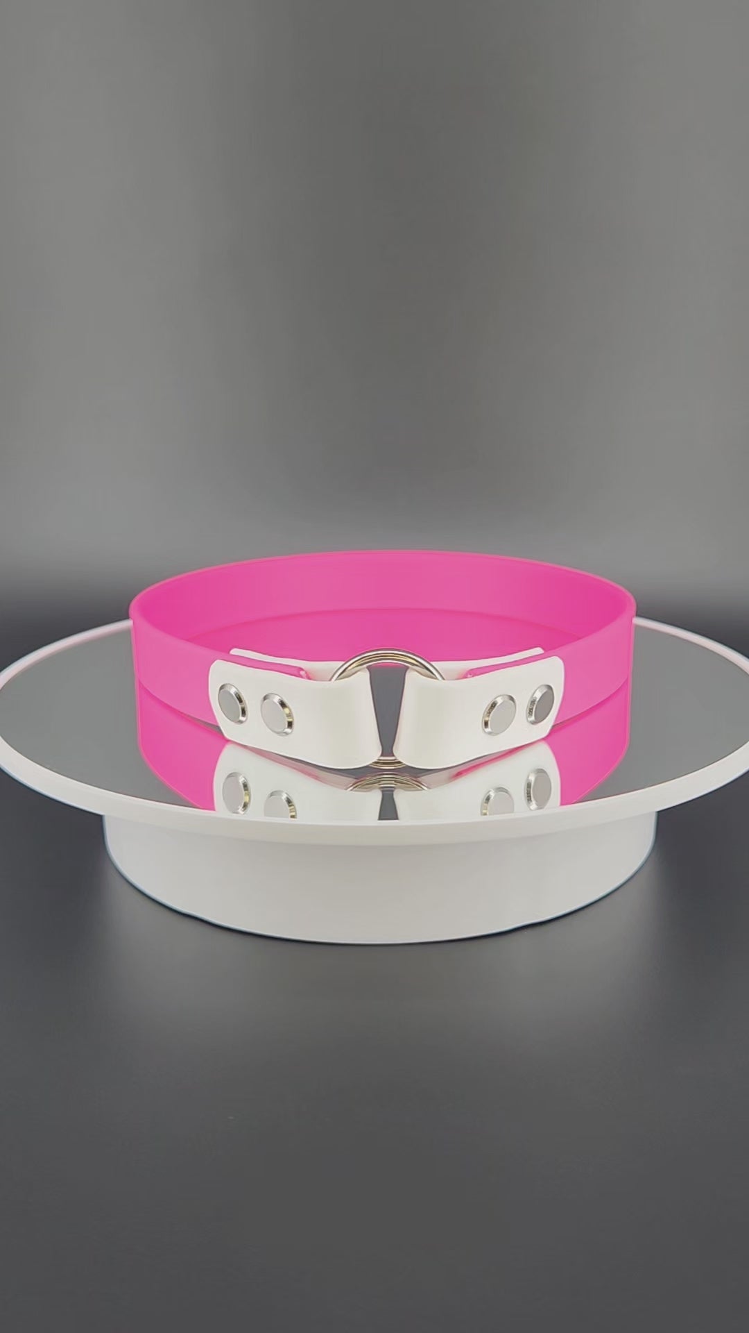 pink and white biothane tag collar for dog identification