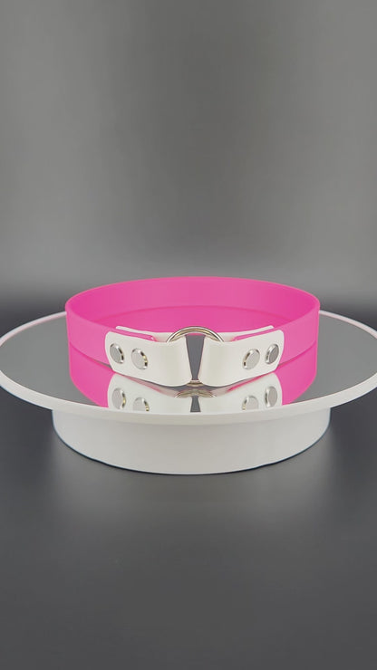 pink and white biothane tag collar for dog identification