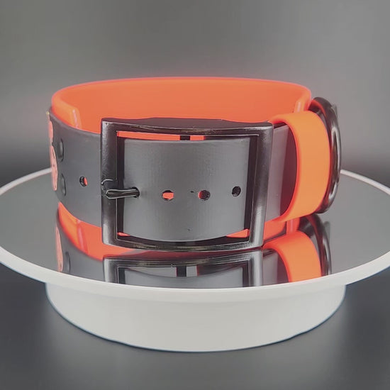 2 inch wide orange and black biothane halloween pumpkins dog collar