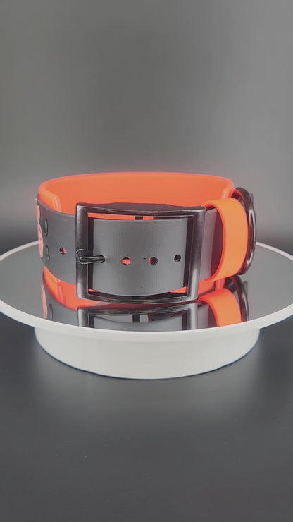 2 inch wide orange and black biothane halloween pumpkins dog collar
