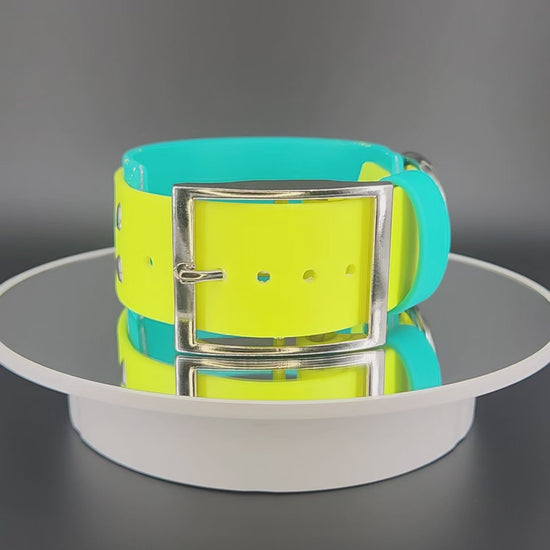 2 inch wide teal and yellow layered biothane dog collar with splatter paint and glitter psycho text