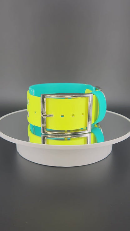 2 inch wide teal and yellow layered biothane dog collar with splatter paint and glitter psycho text
