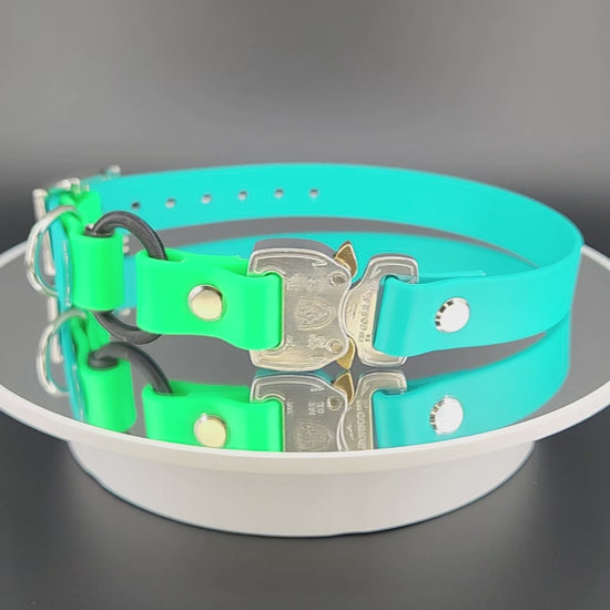 light blue and light green biothane e-collar strap with bungee and silver quick release cobra buckle