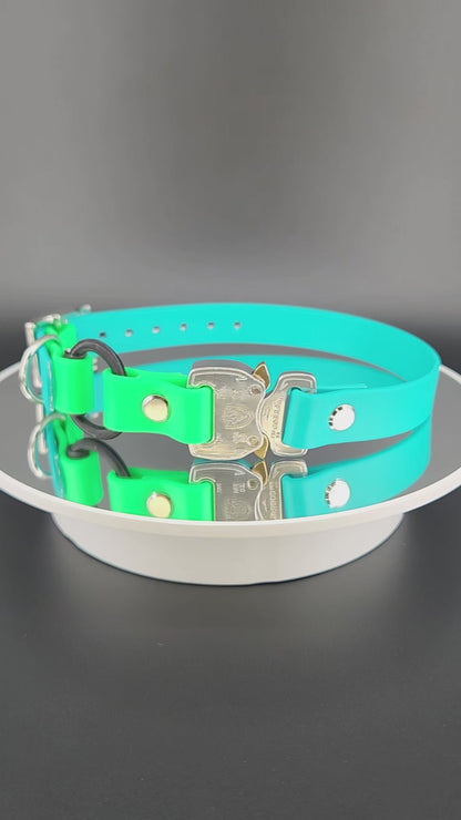 light blue and light green biothane e-collar strap with bungee and silver quick release cobra buckle