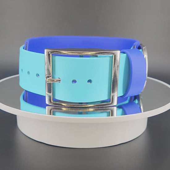 2 inch wide royal and light blue layered biothane my teeth are bigger than your dick dog collar