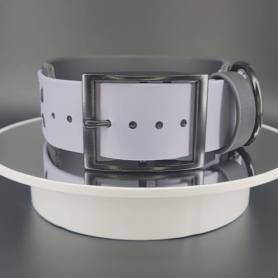 2 inch wide black and gray layered biothane halloween bats dog collar