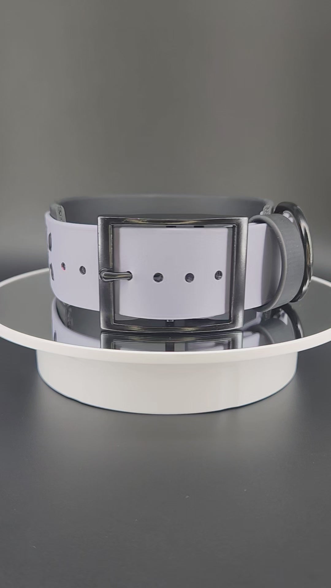 2 inch wide black and gray layered biothane halloween bats dog collar