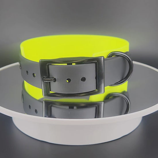 custom yellow and black tapered biothane dog collar with personalized text