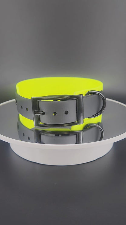 custom yellow and black tapered biothane dog collar with personalized text