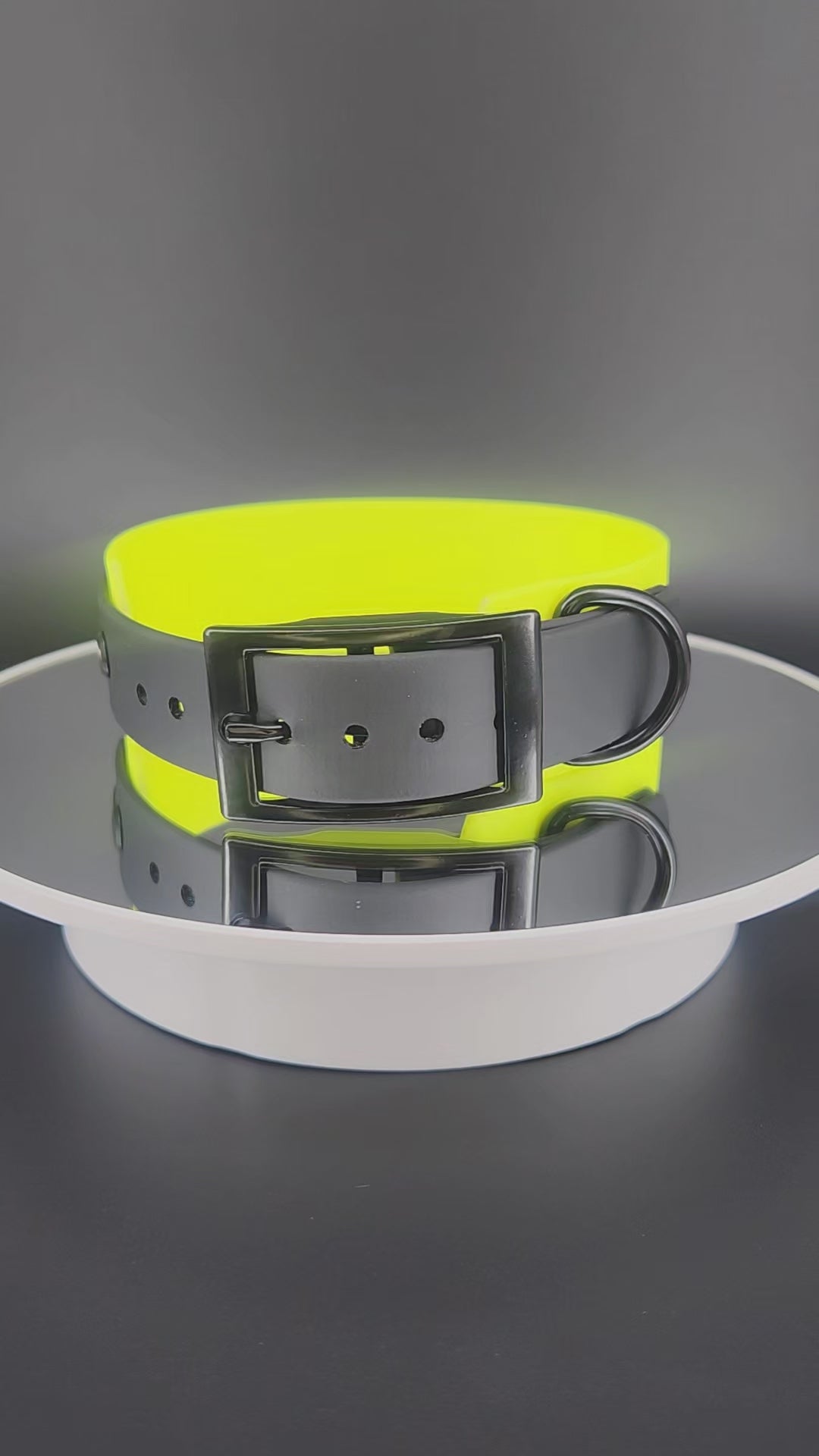 custom yellow and black tapered biothane dog collar with personalized text
