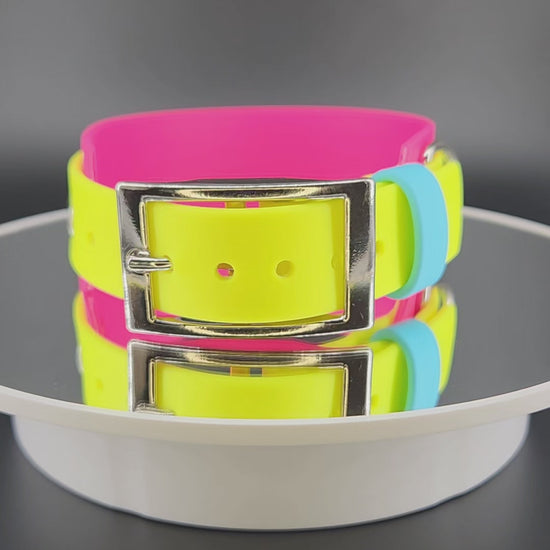 Pink and Yellow Layered Biothane Pan Pride Collar, 1.5 inch wide 12 - 15 inch neck