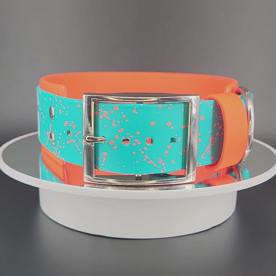 2 inch wide orange and teal layered biothane dog collar with white in training text, orange splatter paint, and silver hardware