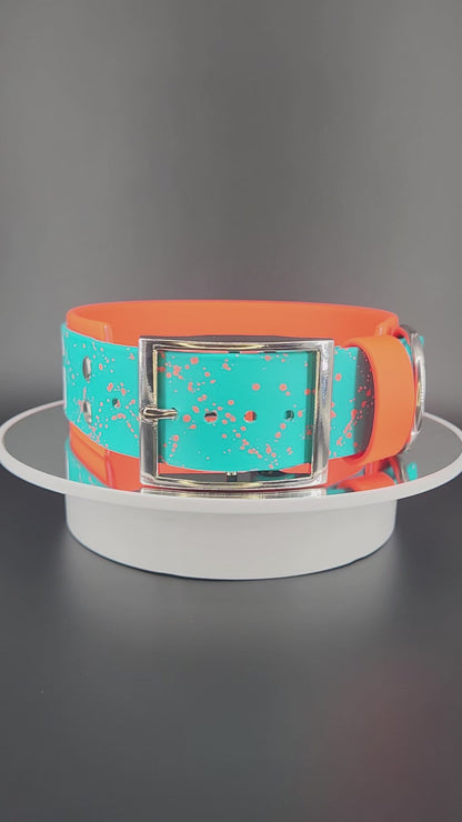 2 inch wide orange and teal layered biothane dog collar with white in training text, orange splatter paint, and silver hardware