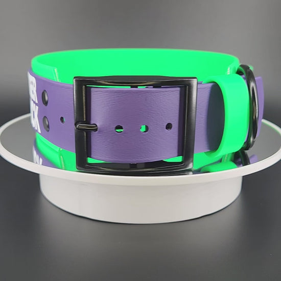 2 inch wide light green and dark purple layered biothane dog collar with tactical handle black hardware and white glitter my teeth are bigger than your dick text