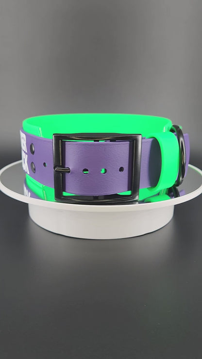 2 inch wide light green and dark purple layered biothane dog collar with tactical handle black hardware and white glitter my teeth are bigger than your dick text