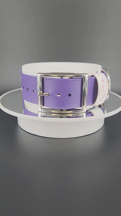 Ready to Ship - White and Dark Purple Layered Biothane FUCK AROUND AND FIND OUT Collar, 2 inch wide 15 - 18 inch neck