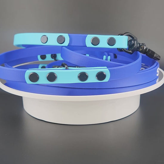 royal blue and light blue biothane convertible hands free dog leash with built in traffic handle, adjustable waist attachment point, and service dog text