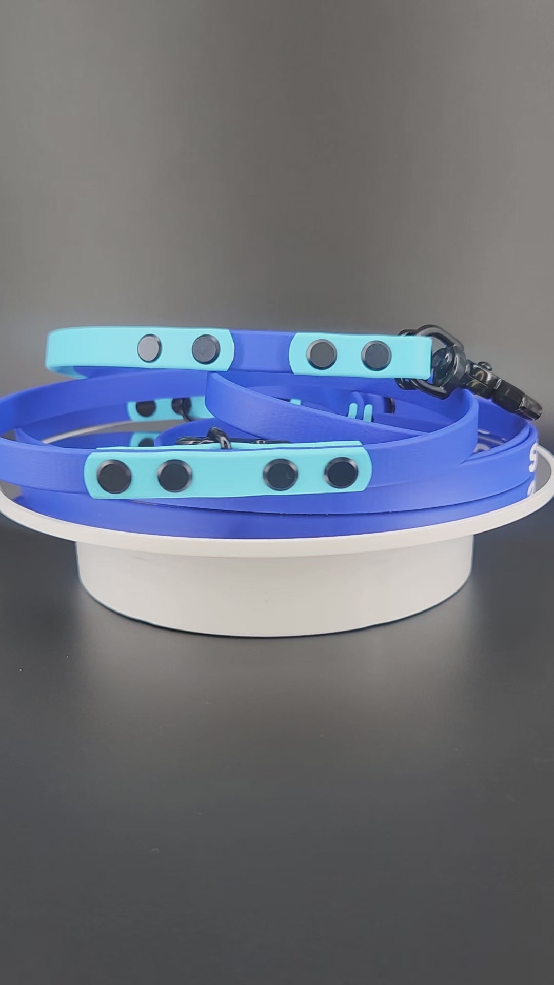 royal blue and light blue biothane convertible hands free dog leash with built in traffic handle, adjustable waist attachment point, and service dog text